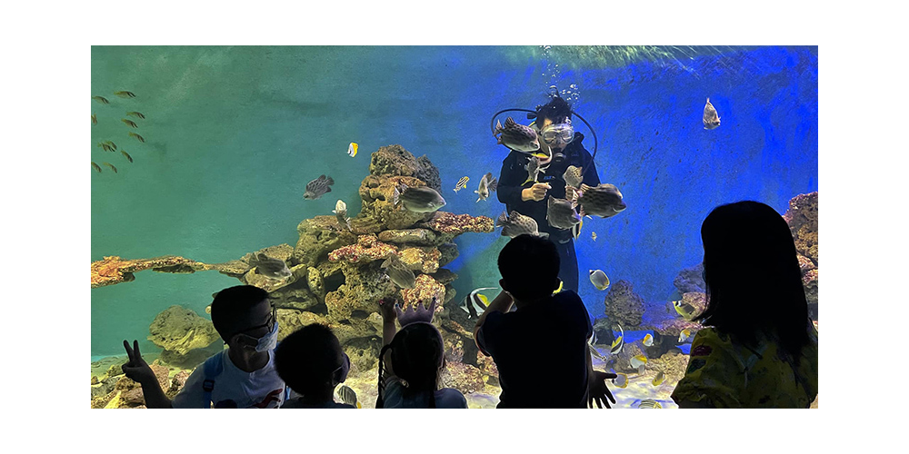 Discover 20,000 preserved specimens showcasing Vietnam’s marine biodiversity (Source: Internet)